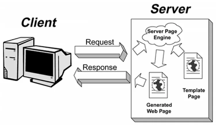 Figure 1-3. Server Page 