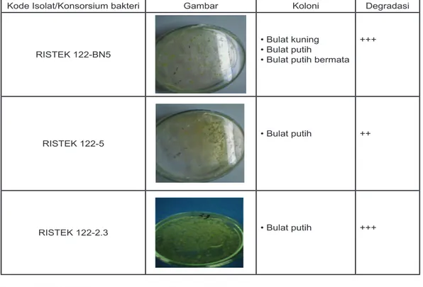 Tabel 3.1 Konsorsium bakteri pendegradasi hidrokarbon