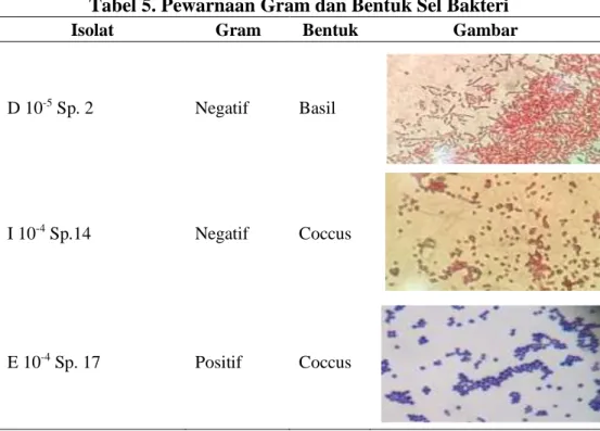 Tabel 5. Pewarnaan Gram dan Bentuk Sel Bakteri 