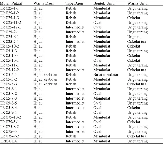 Tabel 4. Keragaan karakter kualitatif galur bawang merah M1V2 