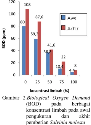Gambar  2.Biological  Oxygen  Demand  (BOD)  pada  berbagai  konsentrasi limbah pada awal  pengukuran  dan  akhir  pemberian Salvinia molesta 