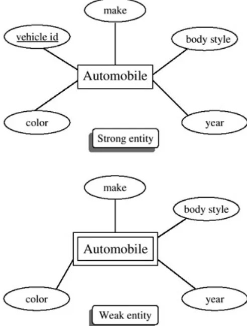 Figure 2.7: A Strong and a Weak AUTOMOBILE Entity  