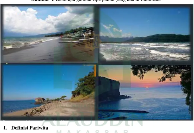 Gambar 4. Beberapa gambar tipe pantai yang ada di Indonesia