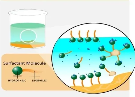Gambar 1. Molekul Surfaktan 