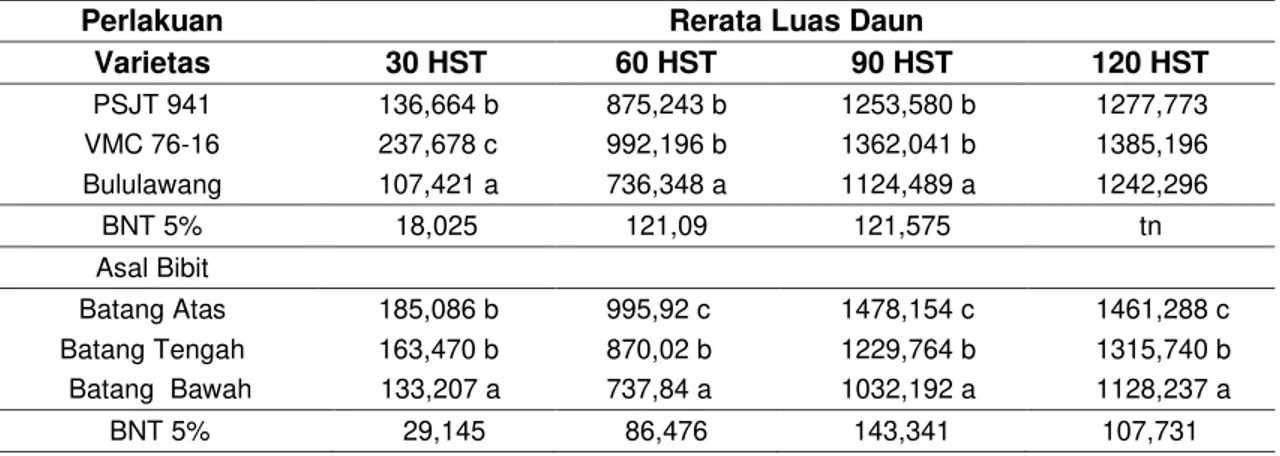 Tabel 2   Rerata Luas Daun Pada Tiga Varietas dan Tiga Asal Bibit Pada Umur Pengamatan 30, 