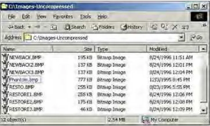 Figure 2.13. The Confirm Attribute Changes dialog box.