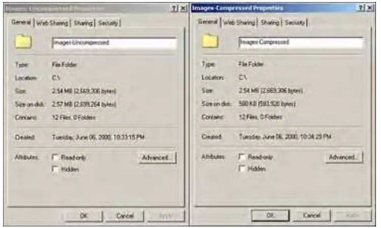 Figure 2.14 illustrates the significant difference that compression can make on saving valuable disk storage space