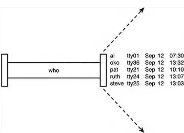 Figure 2.9. Typical Unix command.