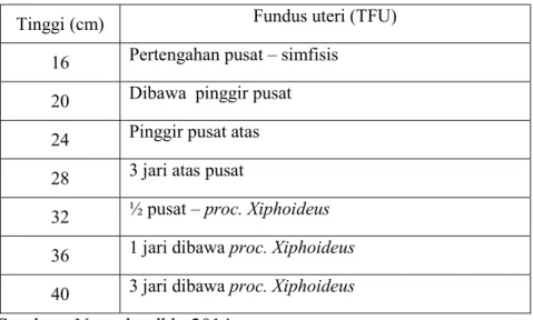 Tabel 2.4..TFU Menurut Penambahan Tiga Jari  Tinggi (cm)  Fundus uteri (TFU) 
