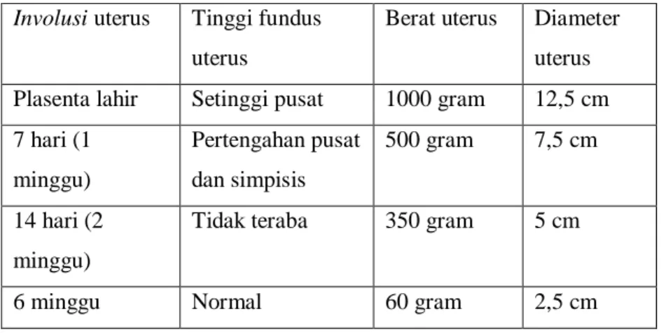 Tabel 2.9. Involusi Uterus Masa Nifas  Involusi uterus  Tinggi fundus 