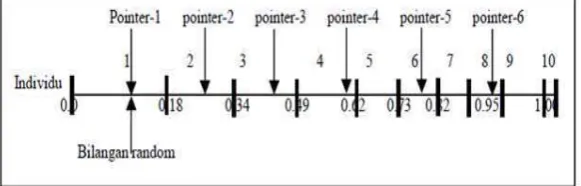 Gambar 0-2 Stohastic Universal Sampling 