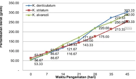 Gambar 1.  Grafik pertambahan bobot rata-rata (gram-1) dari berbagai jenis/strain rumput laut yang dibudidayakan di lokasi diseminasi