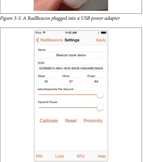 Figure 3-3. A RadBeacon plugged into a USB power adapter