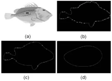 Figure 4.4Real parts of the ART basis functions (12 angular and 3 radial functions) (MPEG-72001).