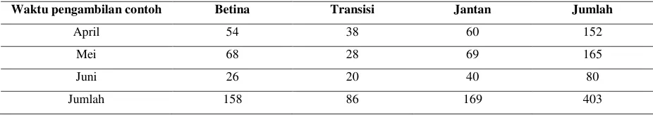Tabel 1. Distribusi jumlah (ekor) ikan belut (Monopterus albus) fase betina, transisi, dan jantan di D