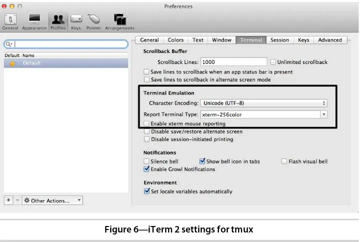 Figure 6—iTerm 2 settings for tmux