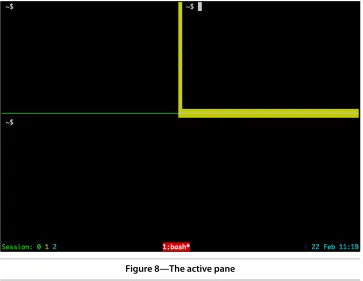 Figure 8—The active pane