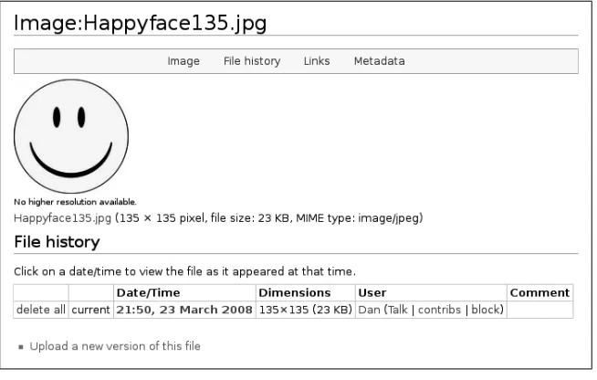 Figure 4-3. An image page