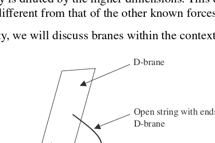 Figure 13.1 A D-brane is a hyperplane-like object to which open strings attach.