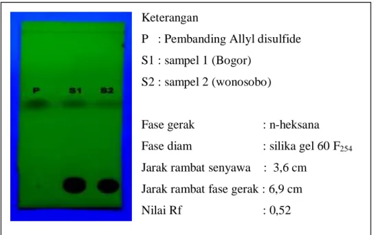 Gambar 6. Pola kromatogram uji kualitatif allyl disulfide pada   ekstrak etanol 70% bawang putih (Allium sativum L.) 