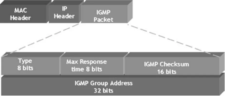 Figure 3.11 IGMPv2 packet structure