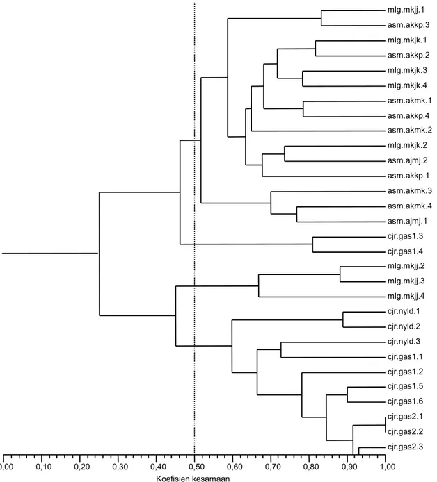 Gambar 2.  Dendrogram pengelompokan berdasarkan kesamaan genetik atas 55 lokus RAPD populasi T’toidea armigera dari tiga lokasi di Jawa