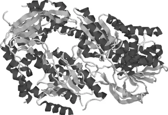 Figure 10.2Example PDB structure 1LQT.