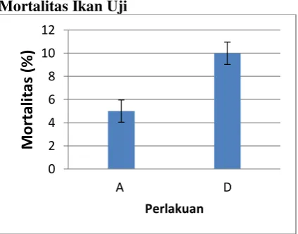Gambar 4. Akumulasi mortalitas ikan Mas (Cyprinus carpio). (%) setelah penginfeksian bakteri A