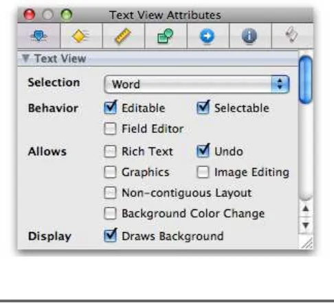 Figure 2.9: Remember to turn off the Rich Text setting.