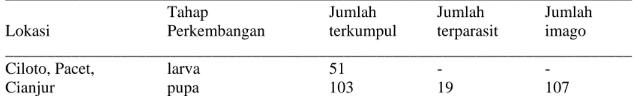 Tabel 2.  Jumlah larva dan pupa P. xylostella yang dikumpulkan, dan yang terparasit di                  beberapa lokasi di Jawa Barat