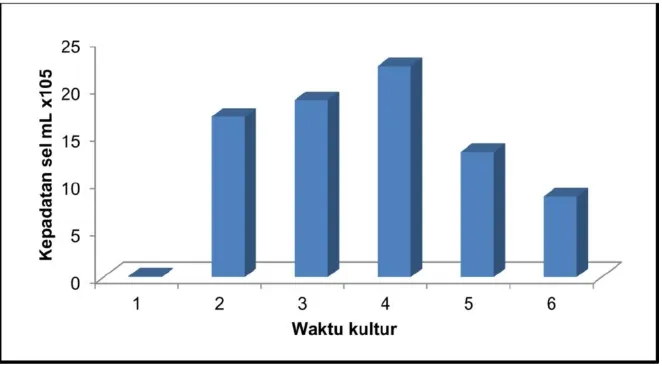 Gambar 2. Kepadatan harian Emiliania huxleyi sp pada perlakuan konsentrasi karbondioksida (CO2) 385 ppm 