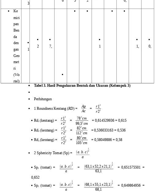 Tabel 3. Hasil Pengukuran Bentuk dan Ukuran (Kelompok 3)