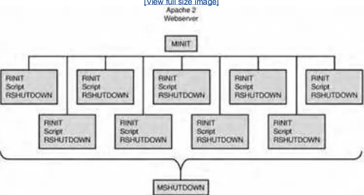 Figure 1.4. Multithreaded life cycles.