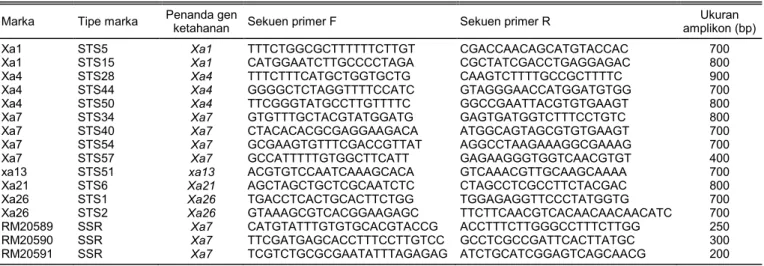 Tabel 2.  Marka molekuler terpaut gen ketahanan terhadap Xanthomonas oryzae pv. oryzae (Xoo) yang digunakan dalam penelitian