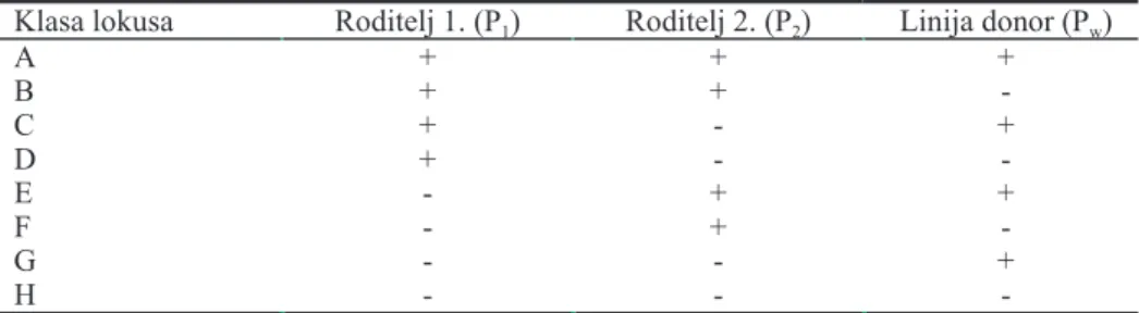 Tab. 1. Genska konstitucija lokusa kod tri homozigotne linije (Dadley, 1987)