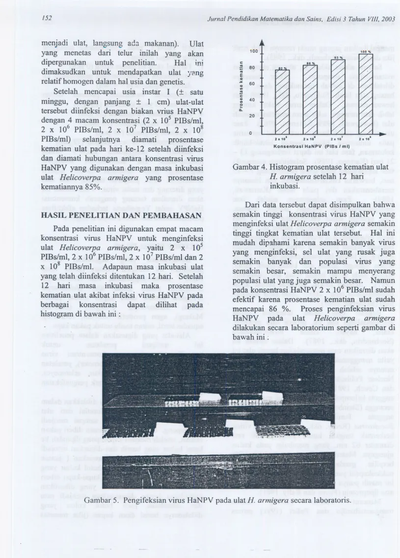 Gambar 4. Histogram prosentase kematiari ulat