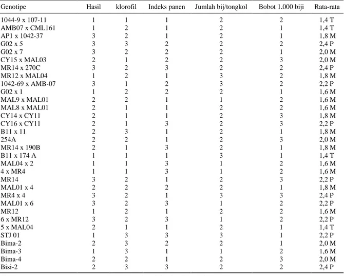Tabel 4.  Skoring indeks hasil, klorofil, indeks panen, jumlah biji per tongkol, dan bobot 1.000 biji setiap genotipe jagung