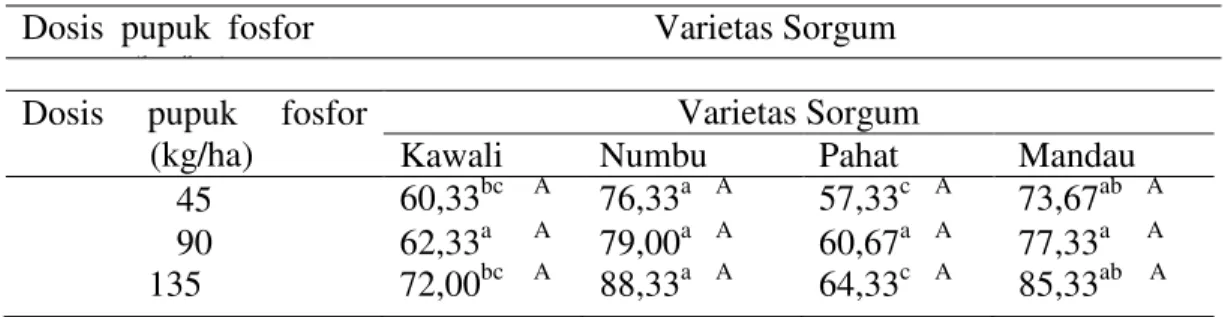 Tabel 7.  Rata ±rata uji kecepatan kecambah beberapa varietas sorgum yang diberi                  pupuk fosfor 