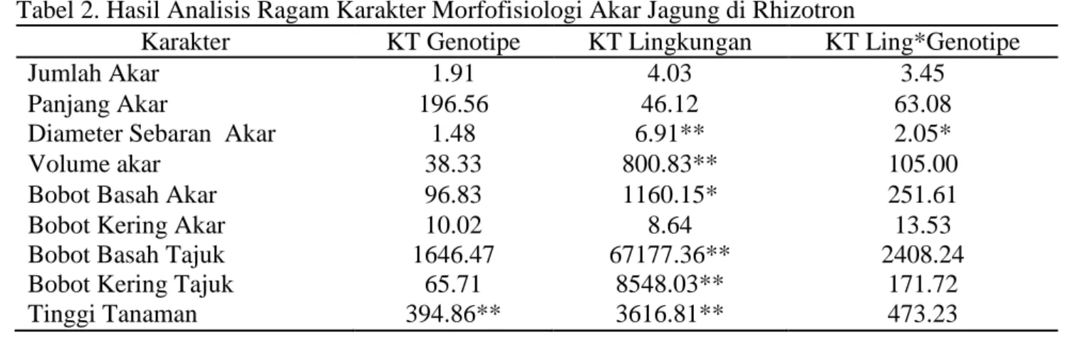 Tabel 2. Hasil Analisis Ragam Karakter Morfofisiologi Akar Jagung di Rhizotron 