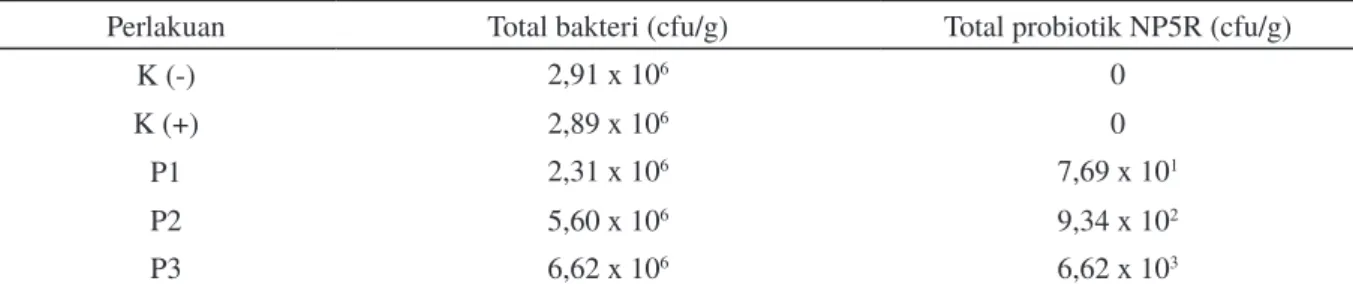 Tabel 1. Kelimpahan bakteri pada usus ikan kerapu bebek (Cromileptes altivelis)