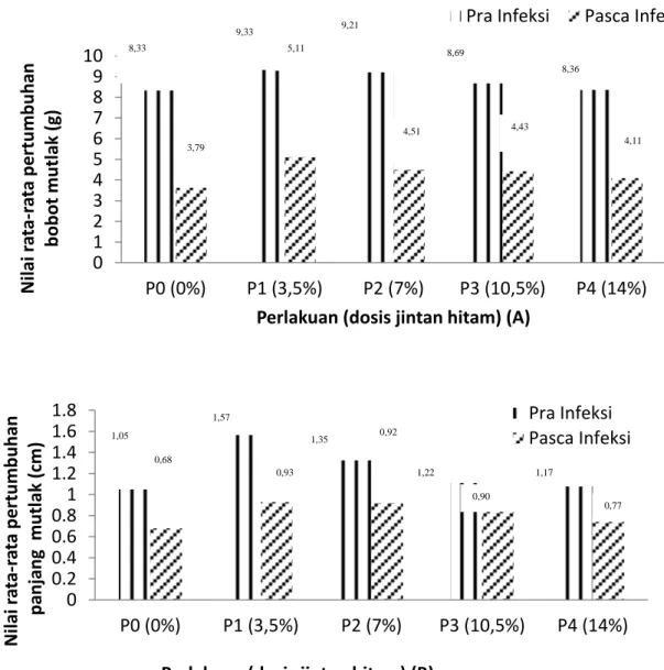 Gambar  4.  Grafik  nilai  pertumbuhan  ikan  nila  selama  pemeliharaan  pra  infeksi  dan  pasca  infeksi;  (A.)  pertumbuhan  bobot  mutlak  ikan  nila;  (B)  pertumbuhan  panjang  mutlak ikan nila