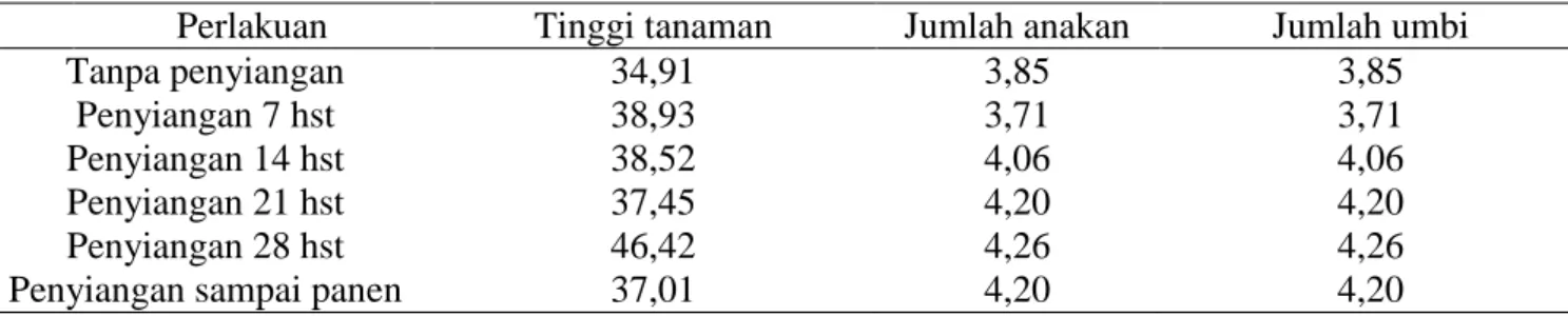 Tabel 4.  Rerata tinggi tanaman, jumlah anakan dan jumlah umbi pada perlakuan periode penyiangan 