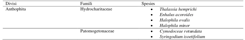 Tabel 3. Klasifikasi Jenis Lamun yang Ditemukan di Perairan Puntondo 