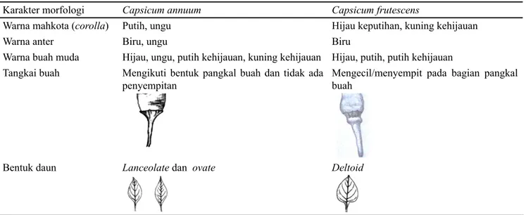Tabel 3. Perbedaan morfologi cabai rawit antara spesies C. annuum dan C. frutescens