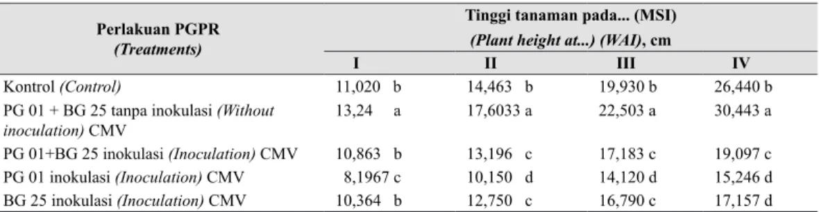 Gambar 1.  Respons tinggi tanaman cabai  yang  diberi    PGPR  dan  tanpa  PGPR  (Response of height chili plant be 