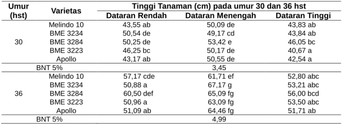 Tabel  1    Tinggi  Tanaman  Melon  akibat  Interaksi  antara  Ketinggian  Tempat  dan  Varietas  pada 