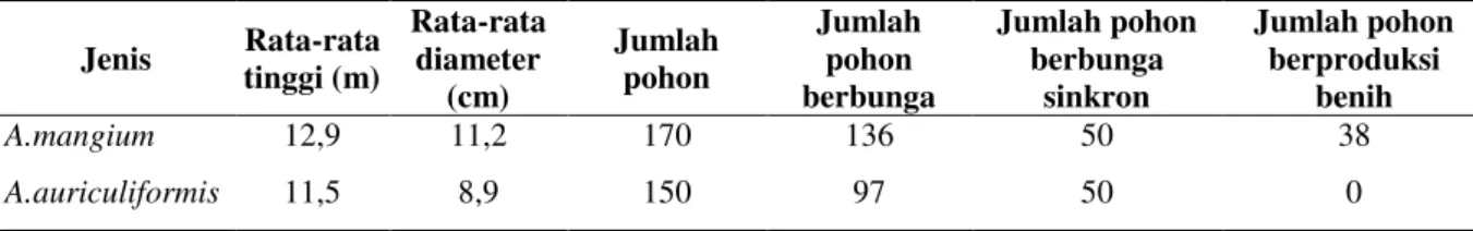 Tabel 1.  Hasil pengamatan sinkronisasi pembungaan dan produksi benih di kebun benih  hibrid Acacia pada  tahun pertama musim pembungaan (pohon induk umur 4 tahun) 