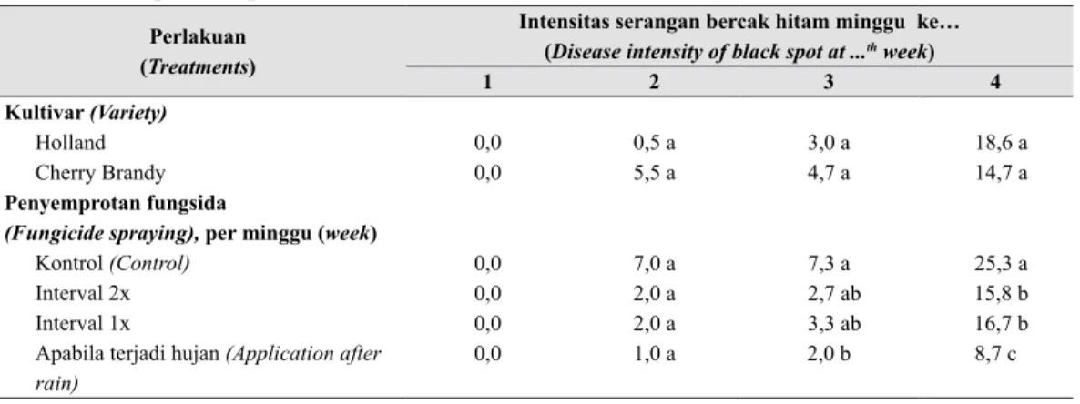 Tabel 1 adalah data rerata  intensitas serangan  bercak hitam pada tunas sampel. Kultivar mawar  tampaknya tidak berpengaruh terhadap intensitas  penyakit bercak hitam pada tunas baru