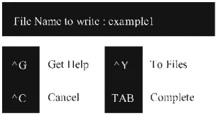 Table 3.1 Cursor-moving commands in the pico