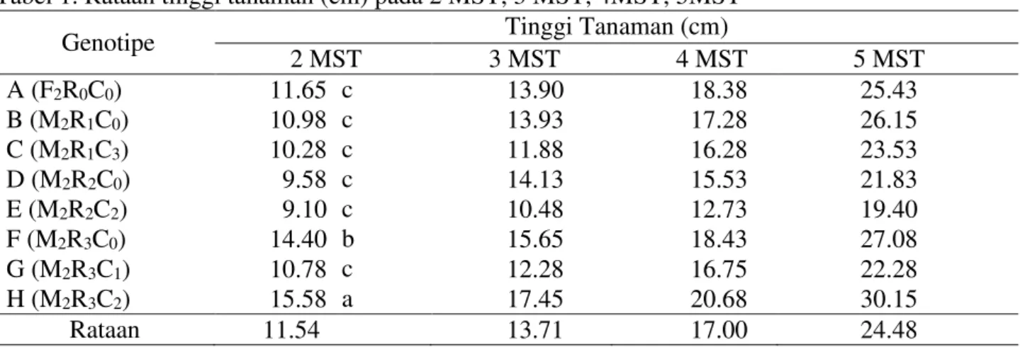 Tabel 1. Rataan tinggi tanaman (cm) pada 2 MST, 3 MST, 4MST, 5MST  